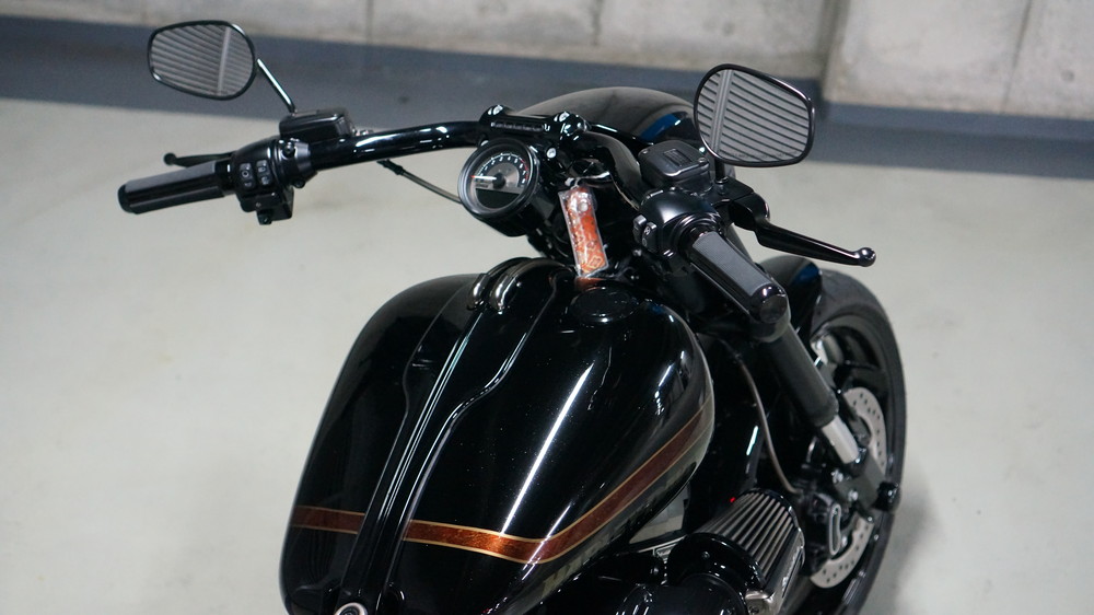 CVO FXSE | Moto-Gallery