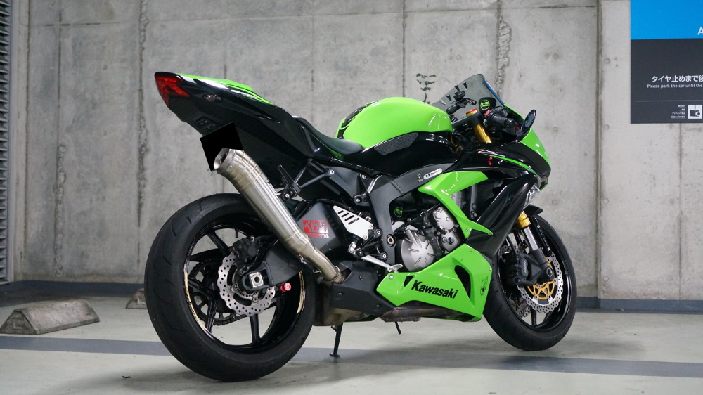 マテレア　シクロフォラ　実生 オリジナル実生 - オーキッドバレーミウラ